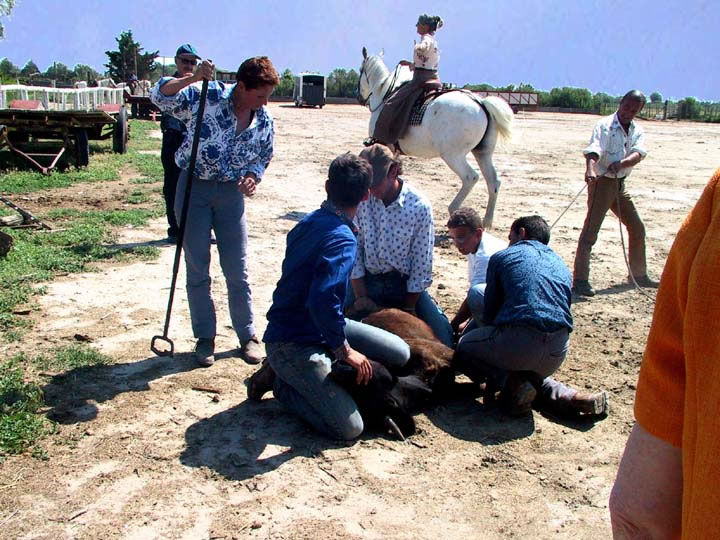 Les prparatifs du marquage au fer chaud