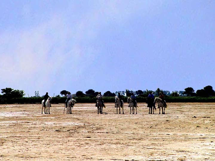 Les gardians se prparent  conduire le troupeau