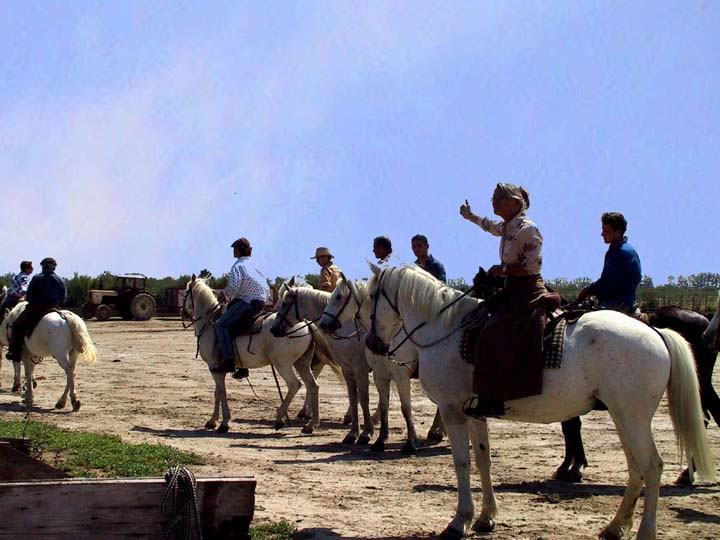 Le travail est termin, les gardians partent