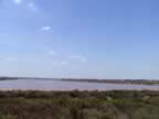 Un Marais salant et sa couleur rougetre (40kb)