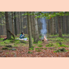 Nourrir notre lien  la nature sauvage - les outils de la (re)connexion - Parcours 1/3